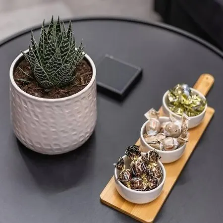 Apartment K.myth 219