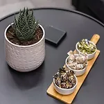 Apartament K.myth 219